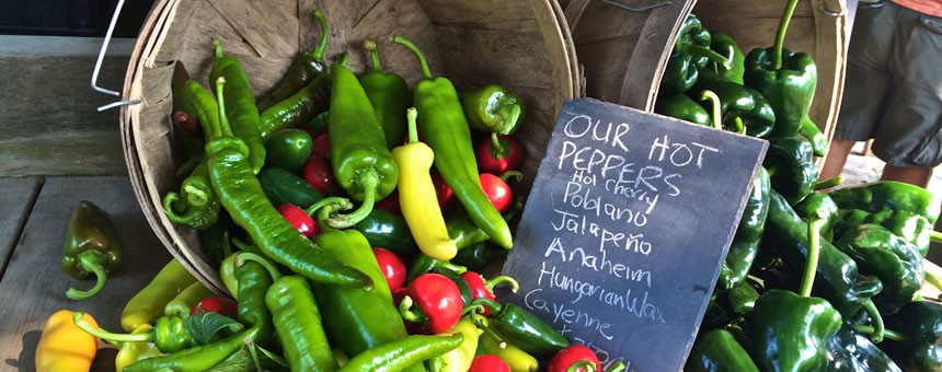 hotPeppers